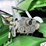 2015-john-deere-s680-image-15