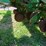 john-deere-1770-image-14