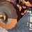 #79941-•-wilbeck-9x-disc-chisel-image-3
