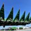 2013-john-deere-612c-image-57