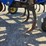 #113178-•-landall-2211-13-chisel-#22f1300360-image-24
