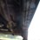 2009-ford-f450-image-26