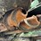 2001-john-deere-693-image-52