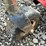 #10775-•-rfm-60-rr-60"-finish-mower-#1001615965-image-11