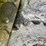 caterpillar-336-image-8