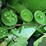 2018-john-deere-s760-image-77