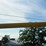 alloway-1315-image-18
