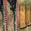 unused-future-mini-excavator-hyd-hedge-trimmer-image-1
