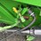 2001-john-deere-693-image-14