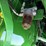 2016-john-deere-s680-image-81