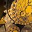 2019-caterpillar-d6n-lgp-image-20