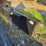new-swict-84"-skidloader-bucket-image-1