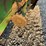 john-deere-643-image-30