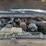 2000-ford-2000-image-21