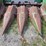 john-deere-443-image-5