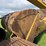 caterpillar-336-image-20