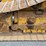 2021-caterpillar-d5-lgp-image-14