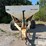 willmar-500-image-2