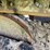 caterpillar-336-image-17