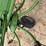 krone-kw5.50/4x7t-image-11
