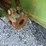 john-deere-444-image-17