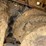 caterpillar-320gc-image-32