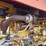 caterpillar-3306-image-19