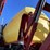 hardi-saritor-image-30