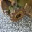 john-deere-444-image-18