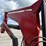 woods-360-image-19