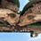 john-deere-443-image-22