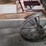 new-holland-14-image-11