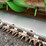 2013-john-deere-635f-image-32
