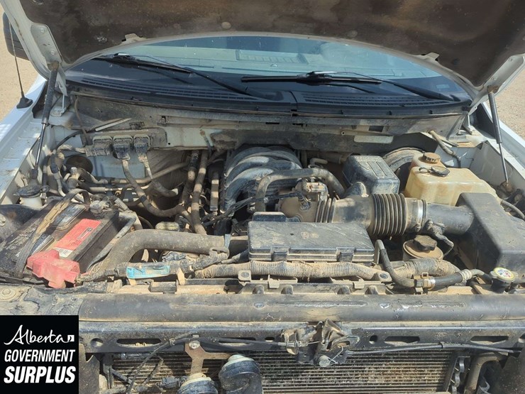 2009-ford-f150-image-20