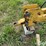 landoll-1430-image-11