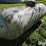 1960-trinity-tank-image-7