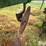 john-deere-5-image-11