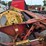 new-holland-479-image-8