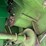 john-deere-6620-image-34