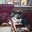 new-holland-14-image-12