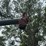 peck-802-image-8