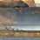 2019-caterpillar-d6n-lgp-image-52