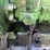 john-deere-6068t-image-11