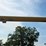 alloway-1315-image-17