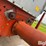 farm-fans-cfab190-image-11