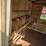 new-4x6-chicken-coop-image-6