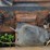 bobcat-753-image-30