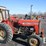 massey-ferguson-231-image-1