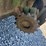 john-deere-444-image-20
