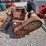 excavator-mulching-head-image-8